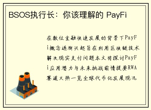 BSOS执行长：你该理解的 PayFi