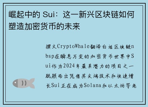 崛起中的 Sui：这一新兴区块链如何塑造加密货币的未来